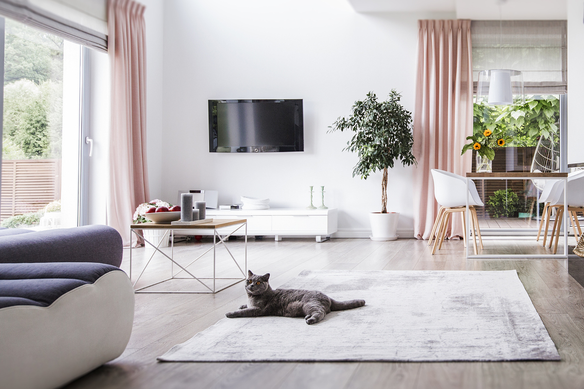 Opção de Imunidade dos Animais como Padrão